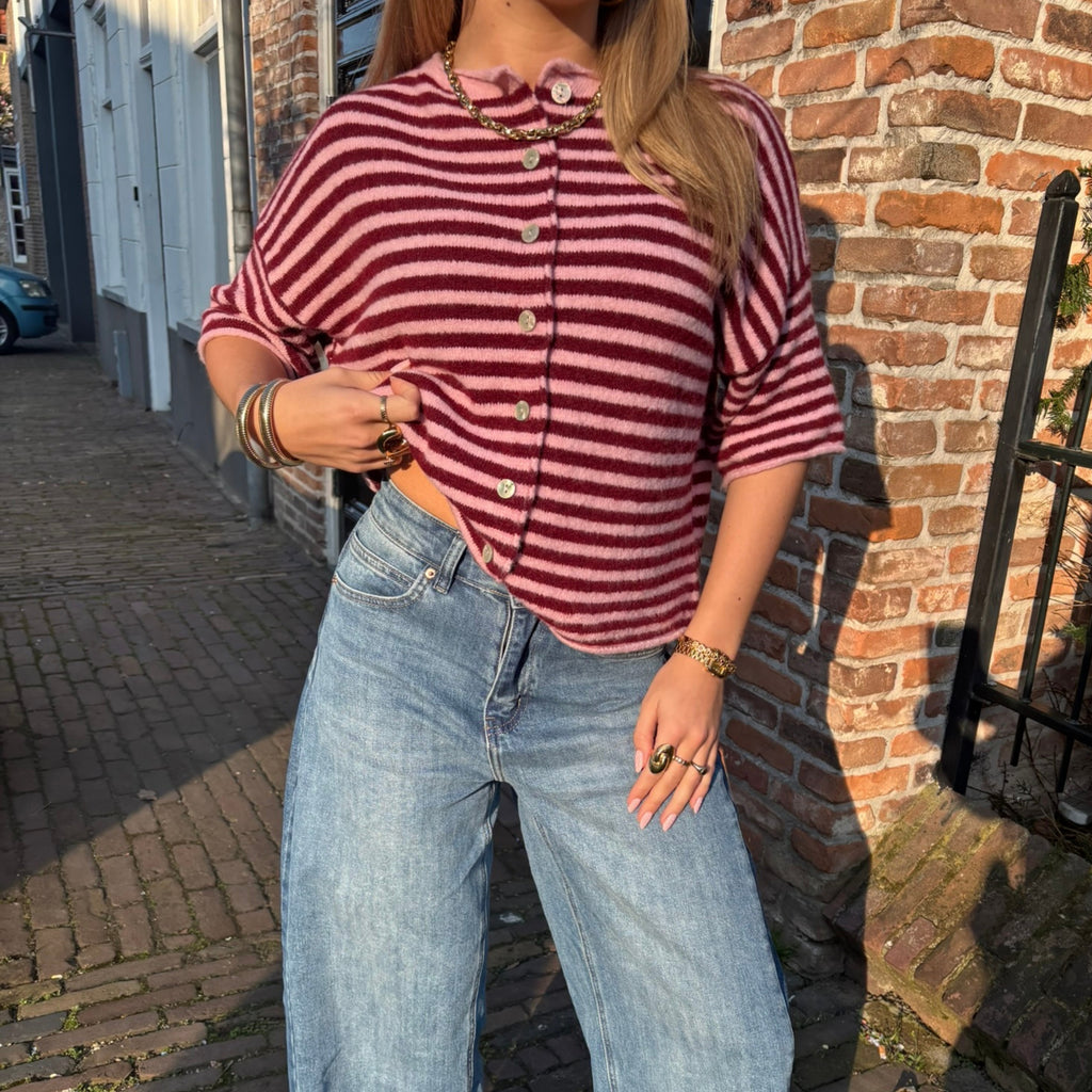 Gestreept Vest Rood